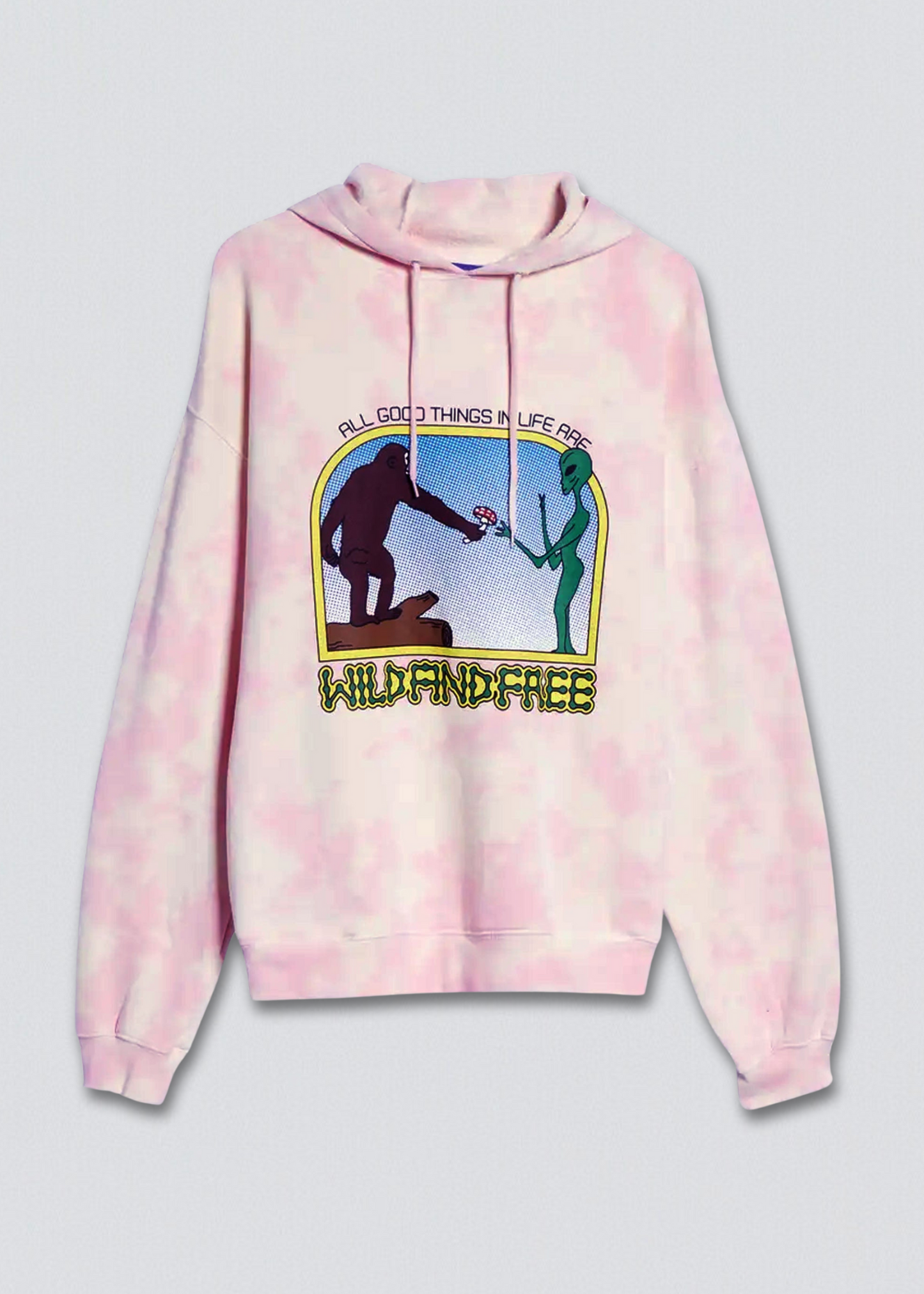 Wild and Free Graphic Pullover Hoodie