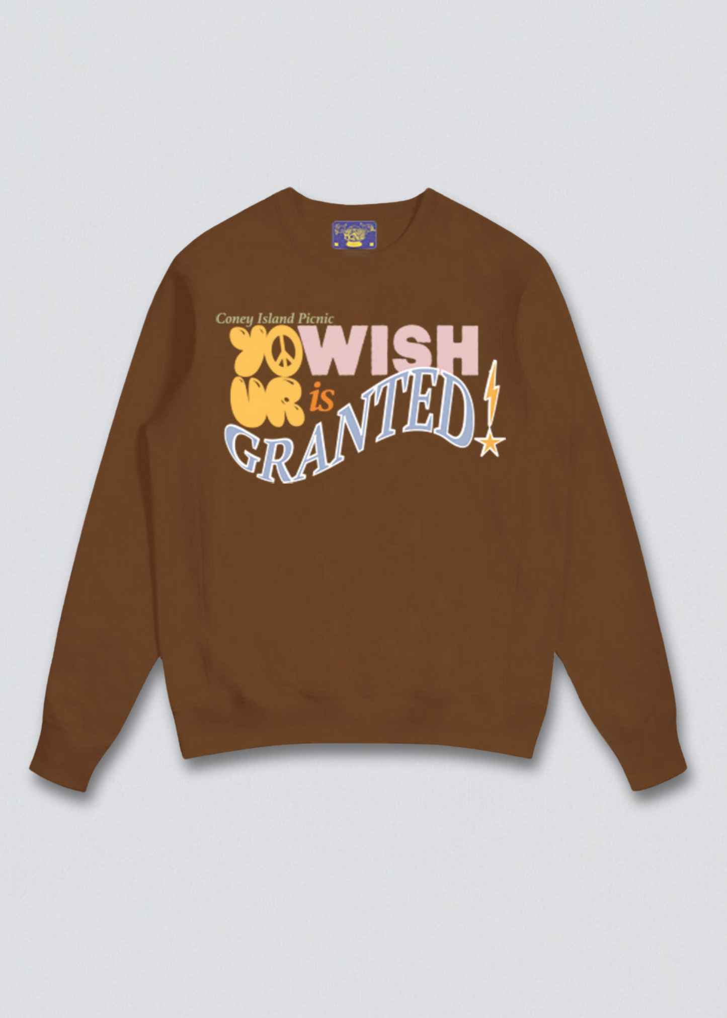 Wish Granted Puff Print Graphic Sweatshirt