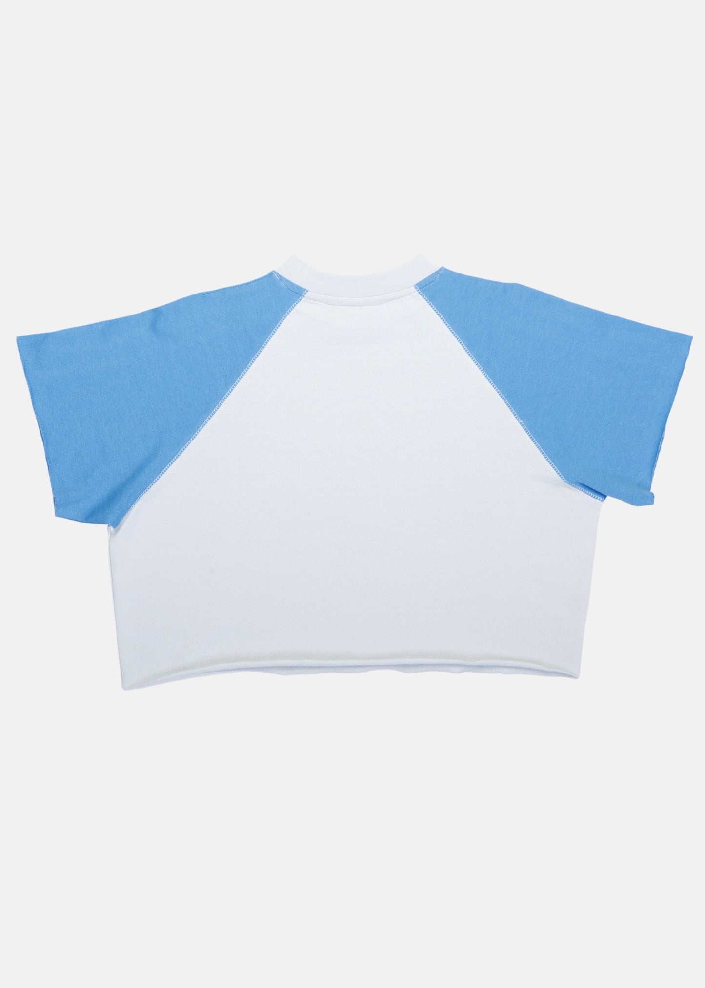 x Everlast Retro Cropped Raglan Tee