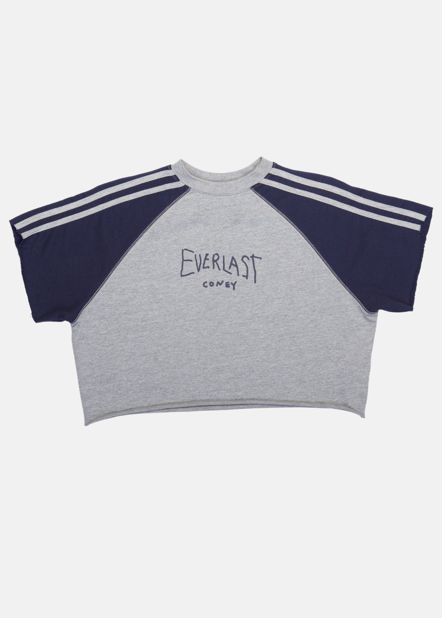 x Everlast Retro Cropped Raglan Tee