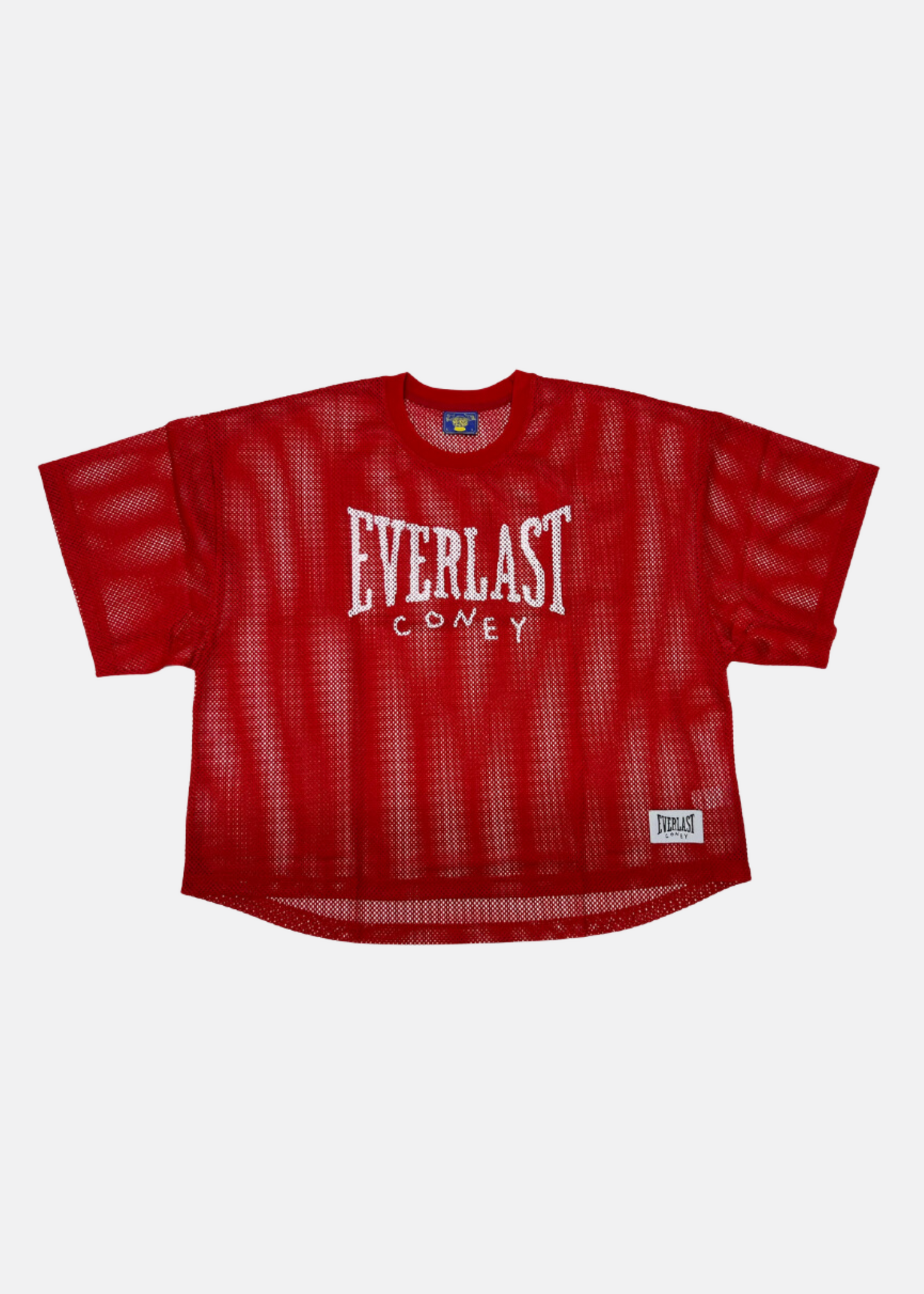 x Everlast Athletic Mesh Jersey