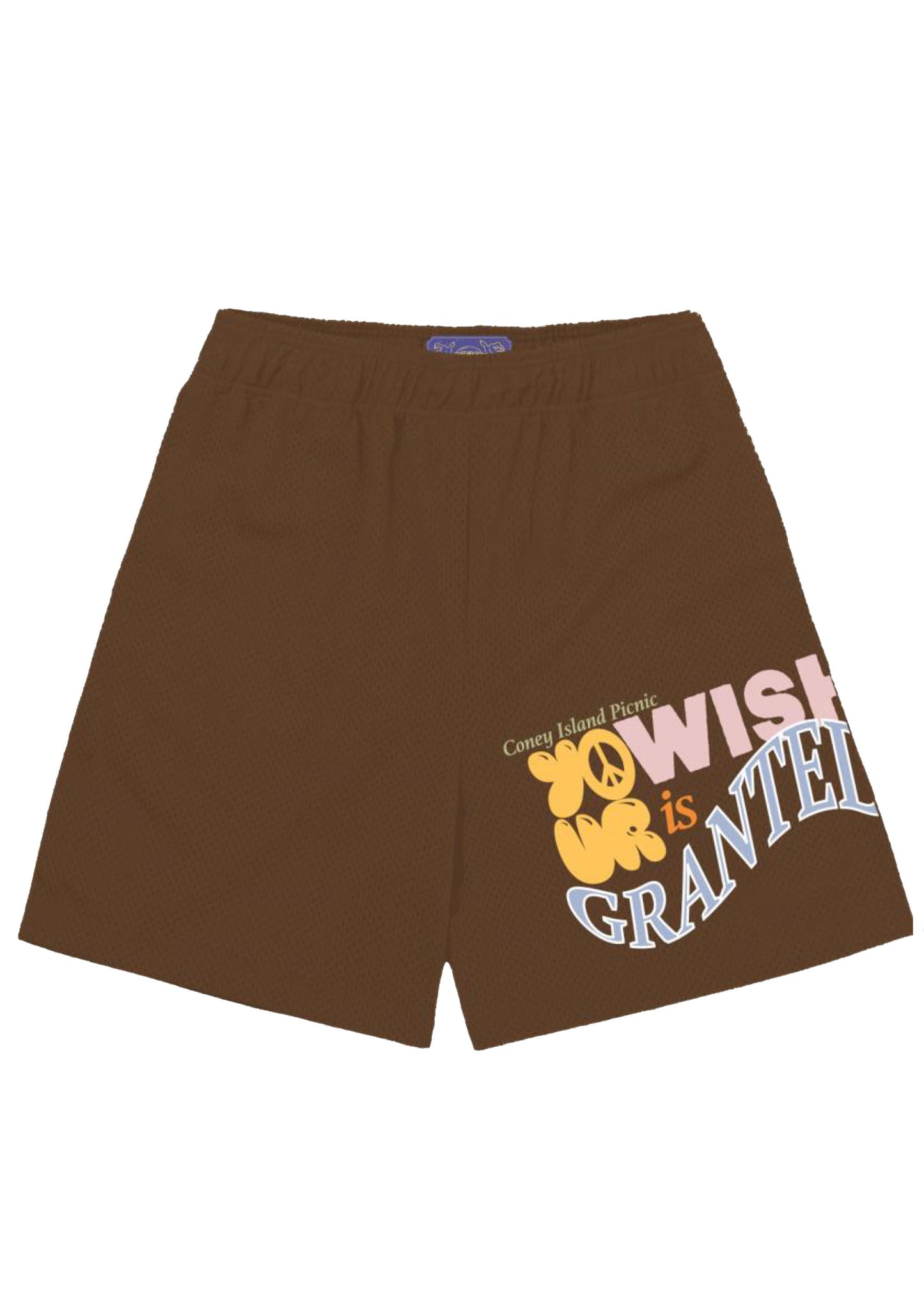 Wish Granted Graphic Mesh Shorts