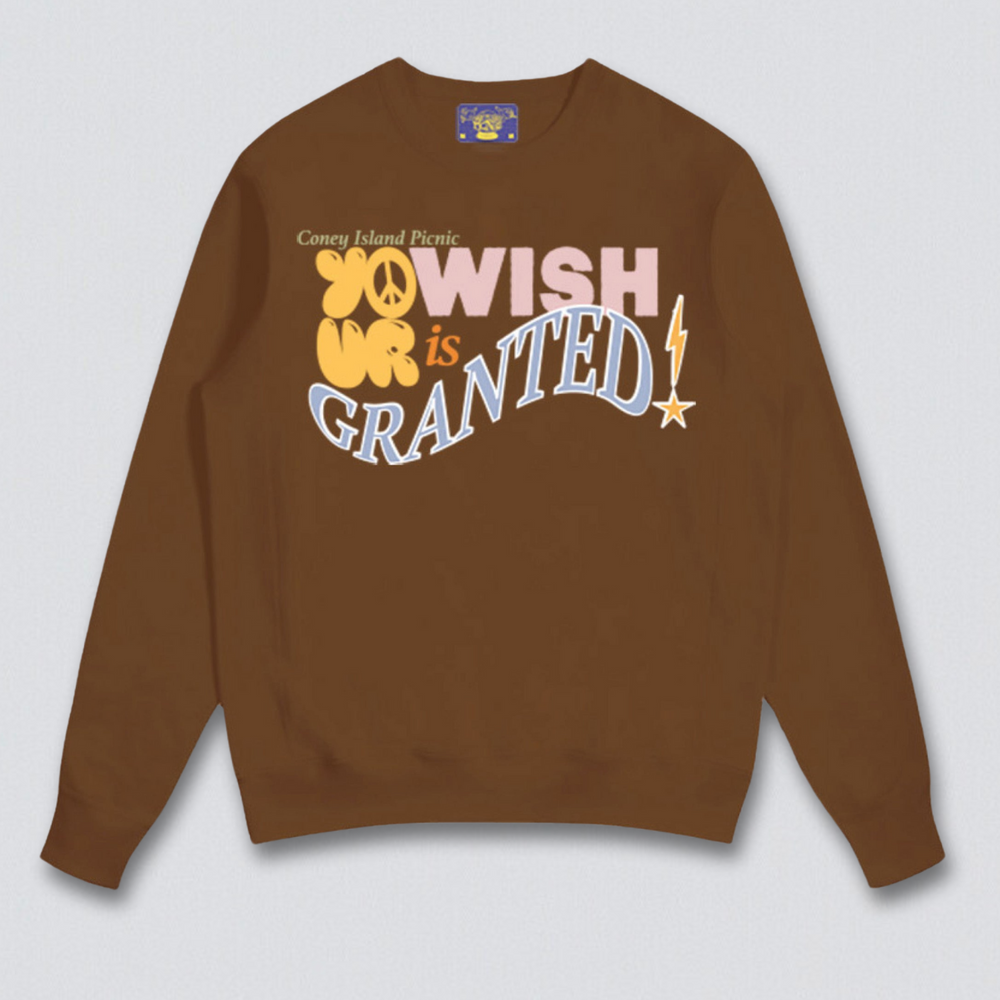 
                      
                        Wish Granted Puff Print Graphic Sweatshirt
                      
                    