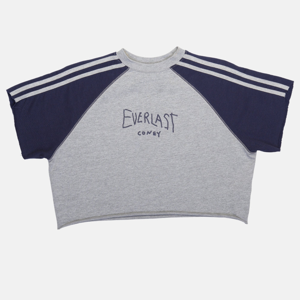 
                      
                        x Everlast Retro Cropped Raglan Tee
                      
                    