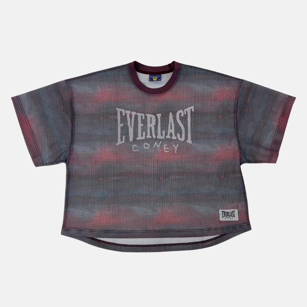 
                      
                        x Everlast Athletic Mesh Jersey
                      
                    