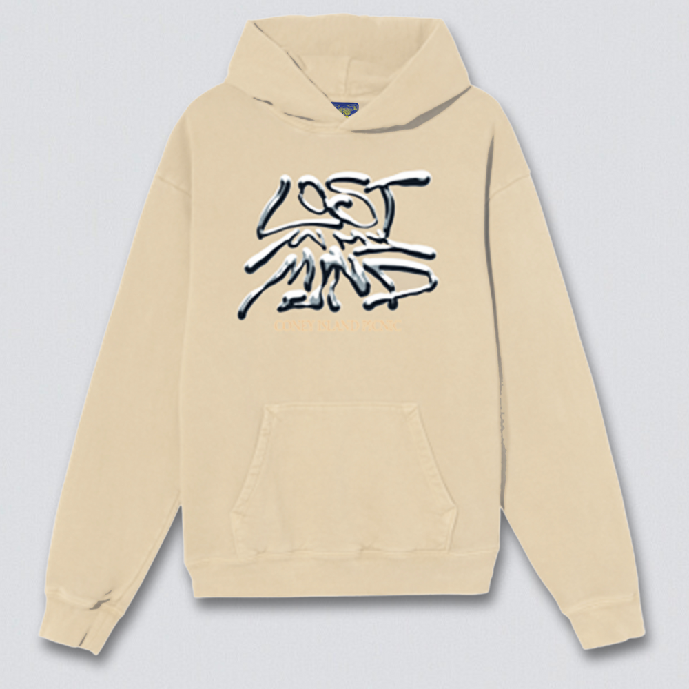 
                      
                        Lost Mind Graphic Pullover Hoodie
                      
                    