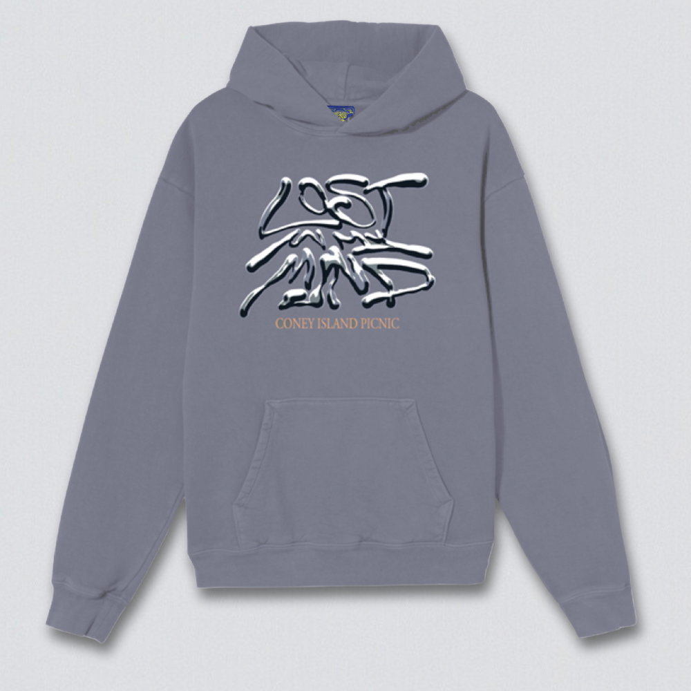 
                      
                        Lost Mind Graphic Pullover Hoodie
                      
                    