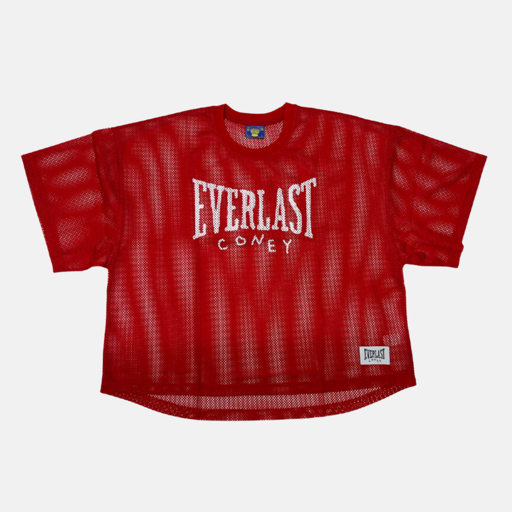 
                      
                        x Everlast Athletic Mesh Jersey
                      
                    