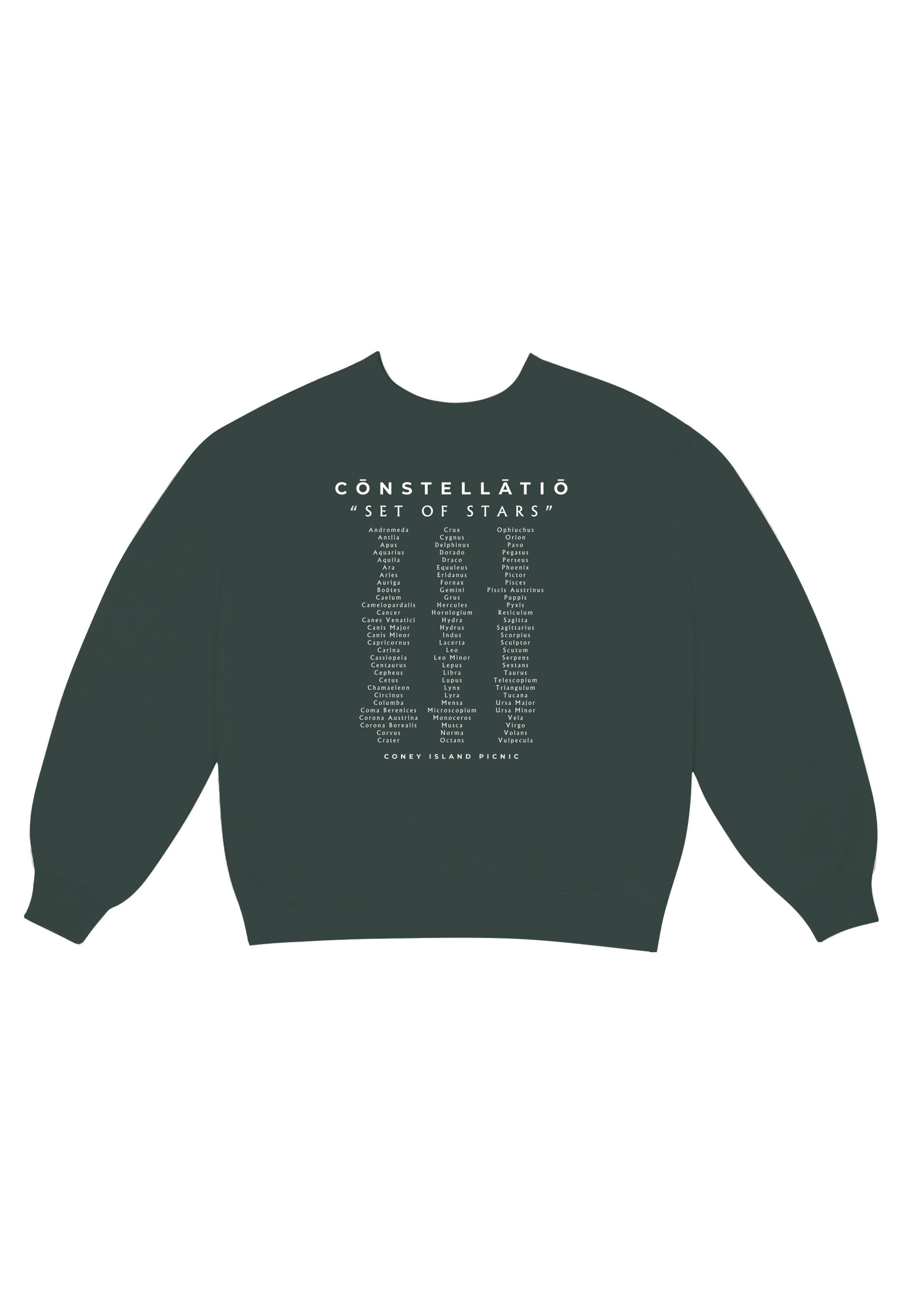 Griffith Park Sky Report Graphic Sweatshirt - Coney Island Picnic