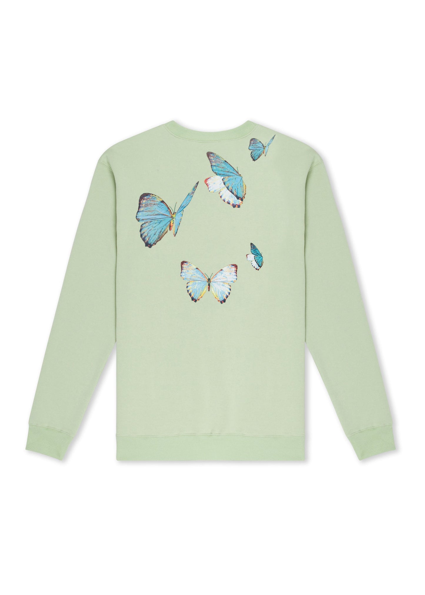 Butterfly Breeze Graphic Sweatshirt