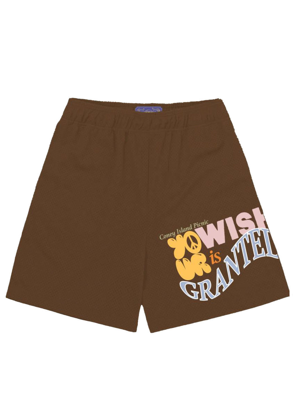 Wish Granted Graphic Mesh Shorts