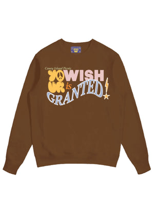 Wish Granted Puff Print Graphic Sweatshirt
