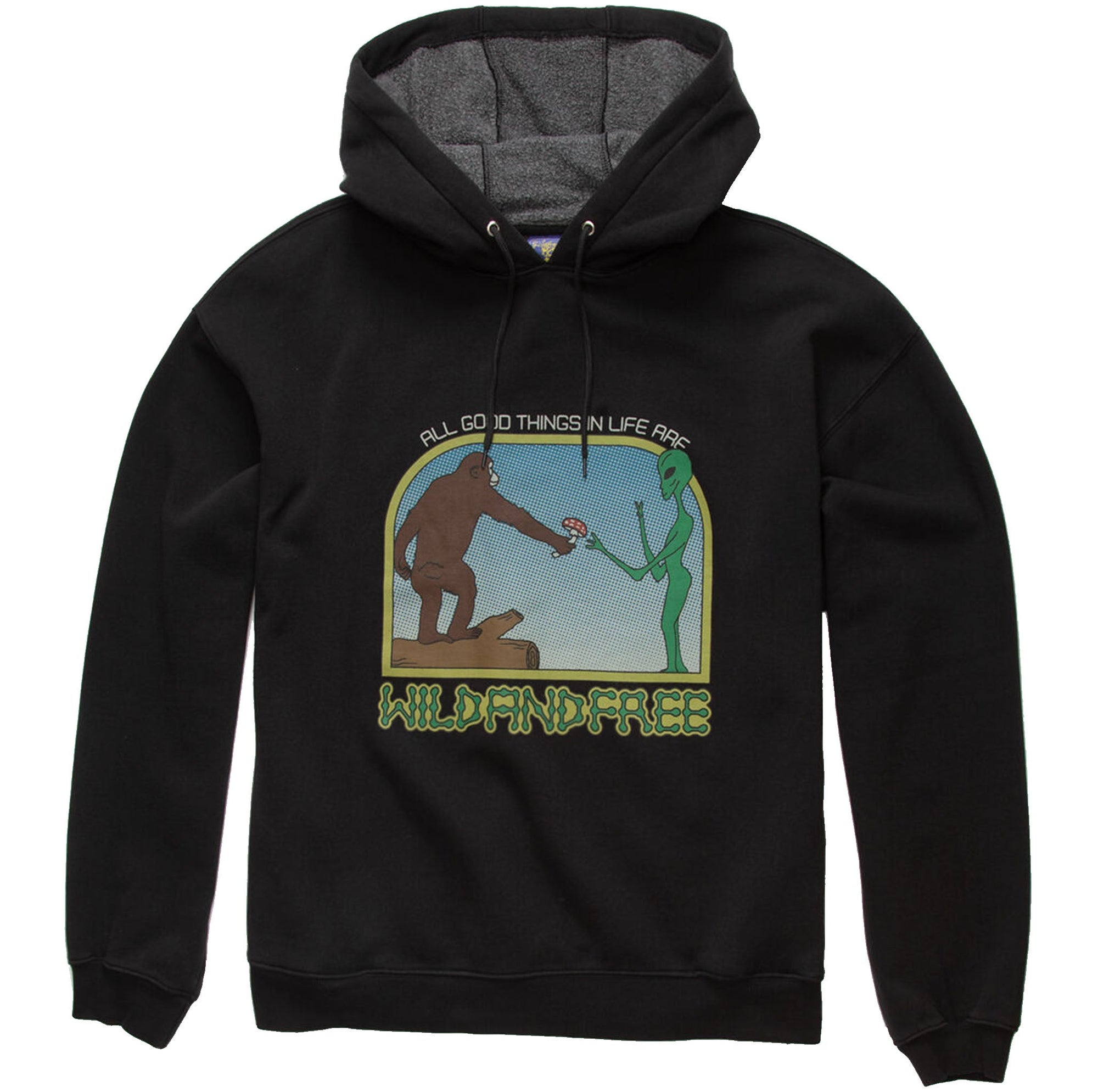 Wild and Free Graphic Pullover Hoodie