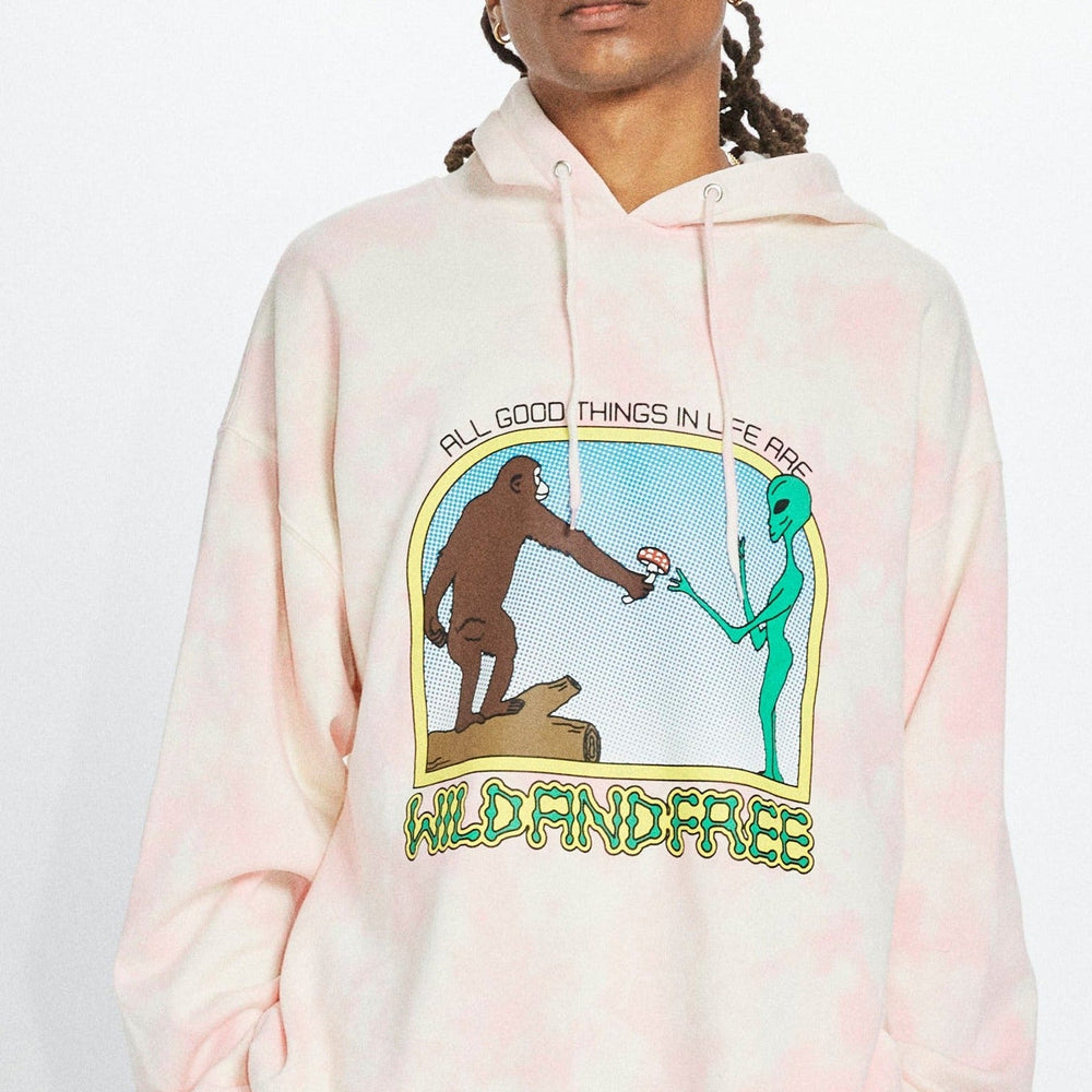 
                      
                        Wild and Free Graphic Pullover Hoodie
                      
                    